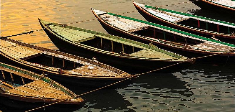 Polluting the Ganges: A Book Reading and Discussion