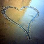 Coastal Cleanup