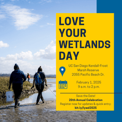 20th Annual Love Your Wetlands Day Promotes Conservation