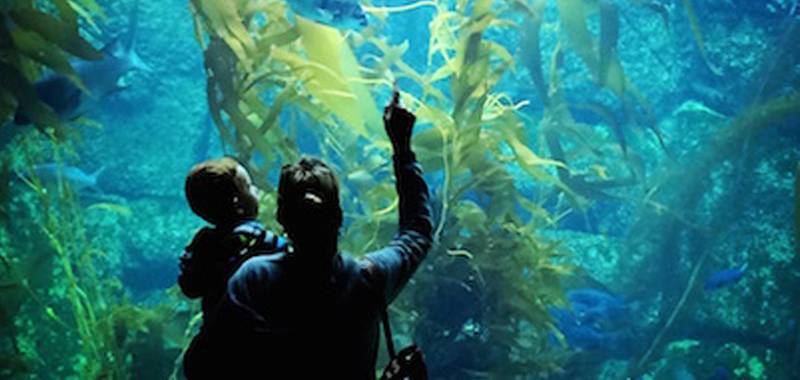 Adventure Aquarium!