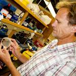 Birch Aquarium’s Perspectives Lecture: Marine Natural Products