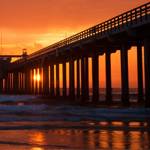 Full Moon Pier Walks with Birch Aquarium