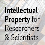The Business Role of Patents in Commercial Success