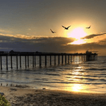 Full Moon Pier Walks with Birch Aquarium at Scripps