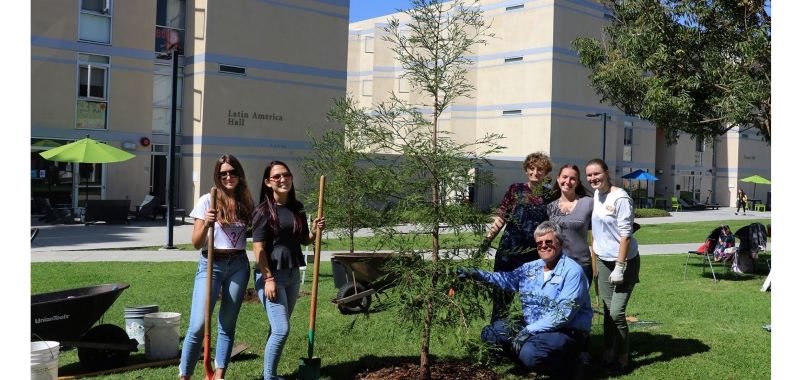 Tree Planting