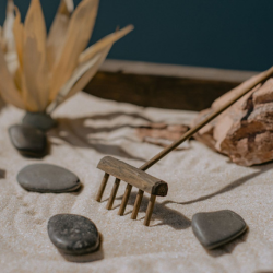 Finals Week De-Stress Activity: DIY Zen Gardens